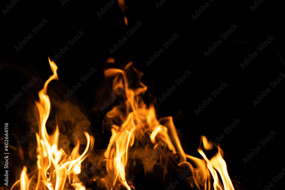 Fire flames on a black background. Abstract fiery texture. Realistic fire flames burn movement frame. Texture for Design. The texture of fire. Fire flames background. Blazing campfire. Sensitive focus Fire flames on a black background. Abstract fiery texture. Realistic fire flames burn movement frame. Texture for Design. The texture of fire. Fire flames background. Blazing campfire. Sensitive focus