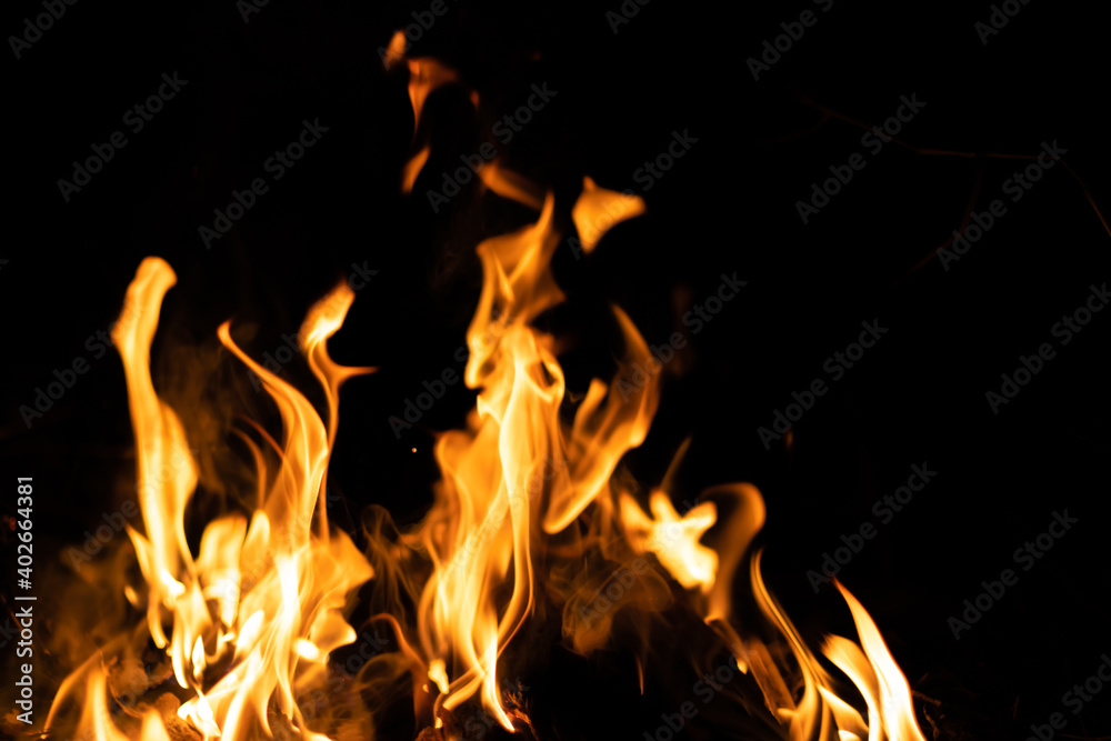 Fototapeta premium Fire flames on a black background. Abstract fiery texture. Realistic fire flames burn movement frame. Texture for Design. The texture of fire. Fire flames background. Blazing campfire. Sensitive focus