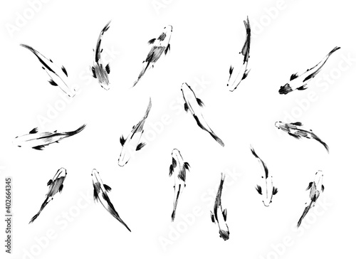 Sketch of japanese koi fishes  top view  set