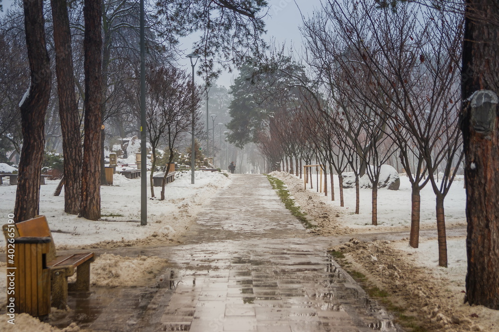 Footpath and snow covered trees in a winter city park. Melting snow and light fog in the city winter park. Benches along the road. People walking along the road in the park Footpath and snow covered trees in a winter city park. Melting snow and light fog in the city winter park. Benches along the road. People walking along the road in the park