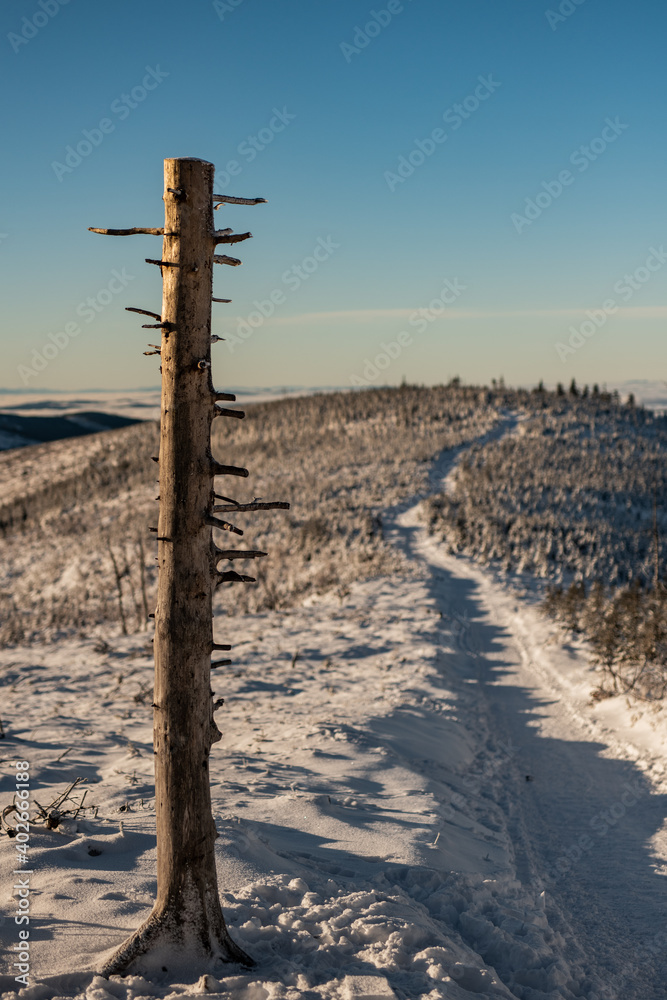 Szczyt Skrzyczne- droga na małe skrzyczne- zima 2021 - szlak górski - skitury