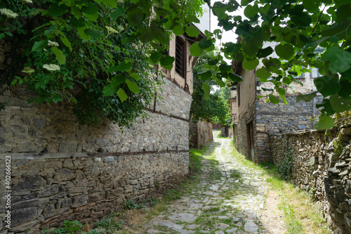 Fototapeta Naklejka Na Ścianę i Meble -  Empty old medieval path on antique residential village in past eastern europe town. Bulgarian small village alley, passage with typical grey house and architecture. Stone street with grass. Balkan