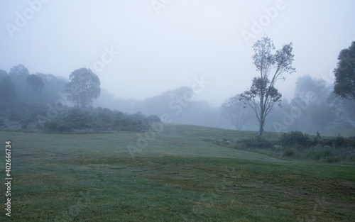 Thredbo river walk foggy morning - Snowy Mountain  NSW  Australia