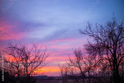 beautiful bright sky at sunset in winter in the village, branches of bare trees at dusk.