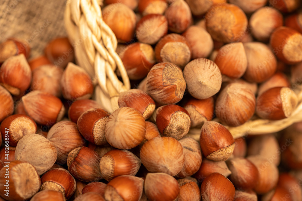 Hazelnuts in a wicker basket and loose nuts. It's time for the autumn harvest. Close-up, selective focus. Hazelnuts in a wicker basket and loose nuts. It's time for the autumn harvest. Close-up, selective focus.