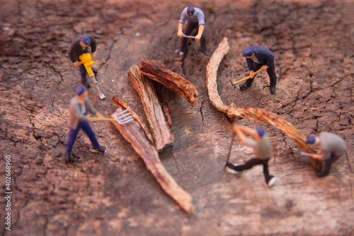 selective focus of miniature worker team working