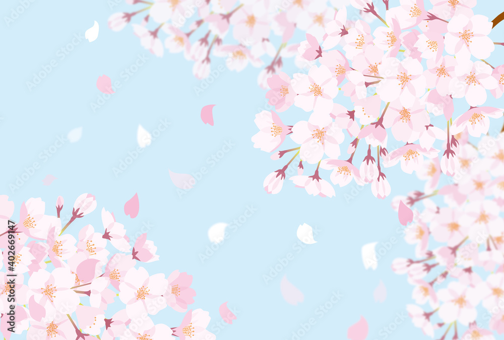 満開の桜の美しい背景素材
