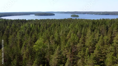 Flight over the forest against the background of the lake