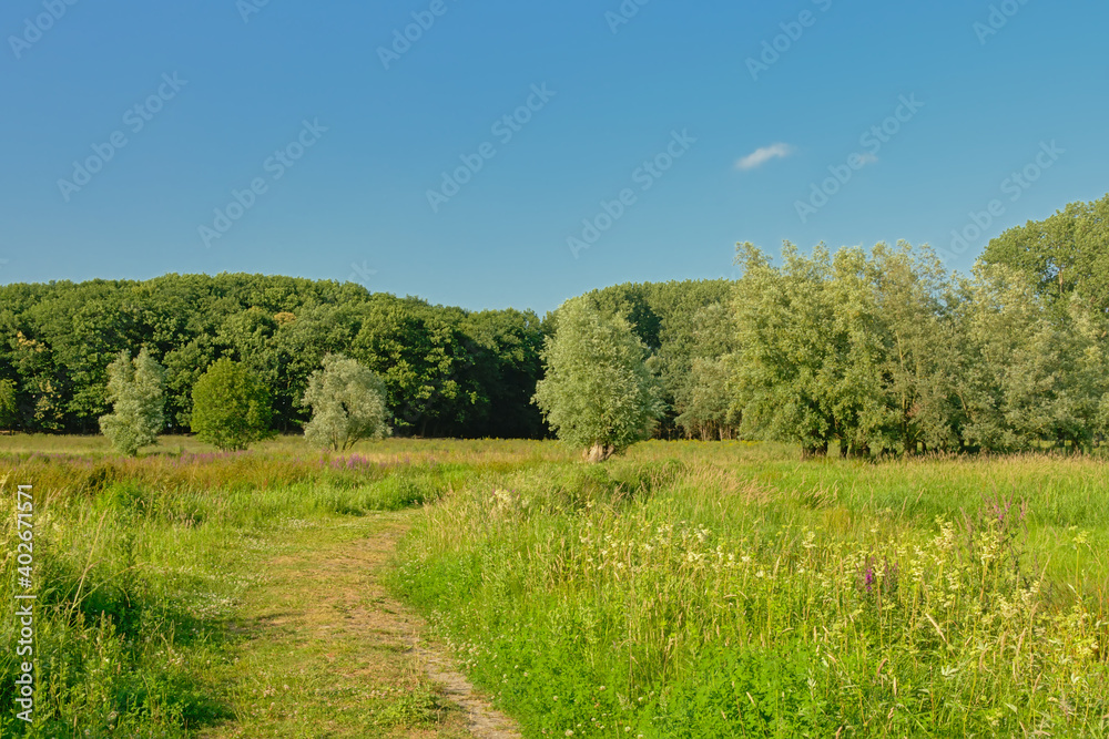 Sunny fields with trees under a clear blue sky in Kalkense Meersen nature reserve, Flanders, Belgium Sunny fields with trees under a clear blue sky in Kalkense Meersen nature reserve, Flanders, Belgium