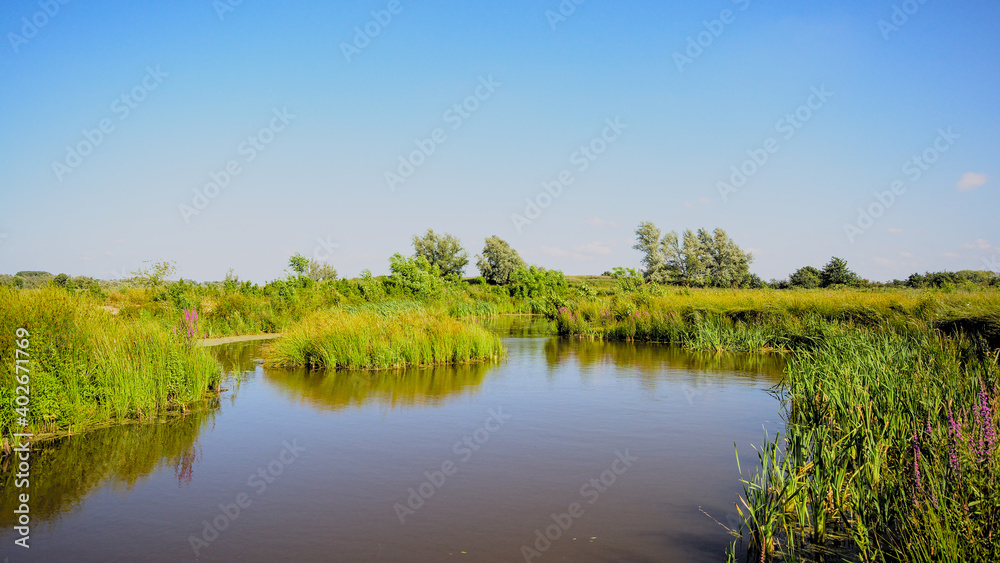 Creek through a sunny green field with trees in Kalkense Meersen nature reserve, Flanders, Belgium
