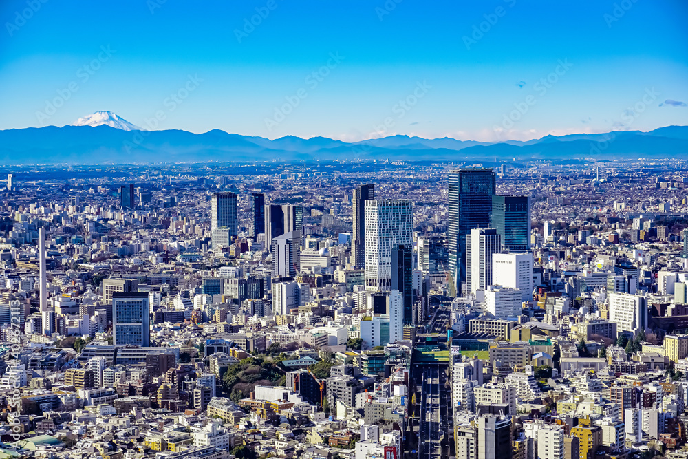 Obraz premium tokyo