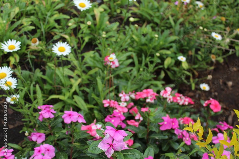 Fototapeta premium Mucugê Chapada da Diamantina