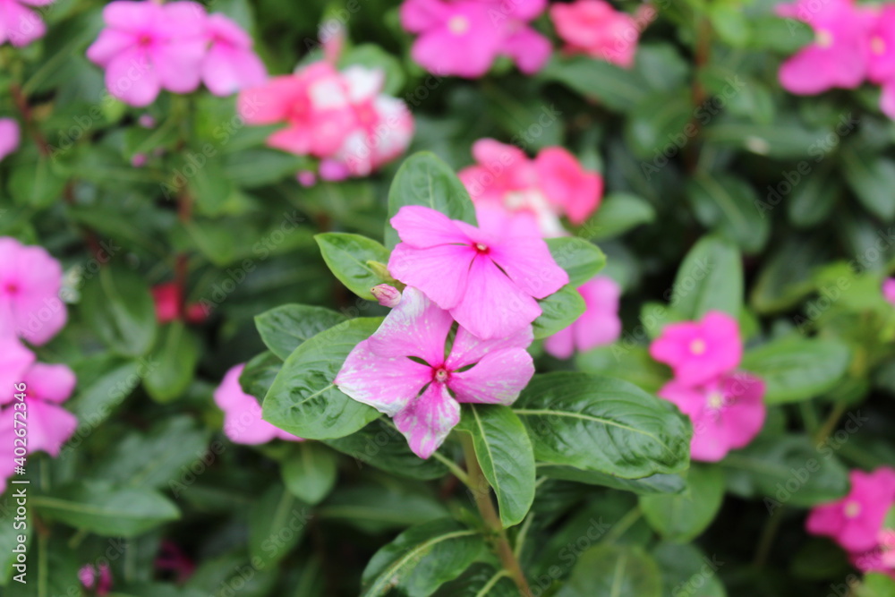 Obraz premium Mucugê Chapada da Diamantina