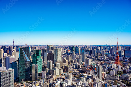 Canvas Print tokyo