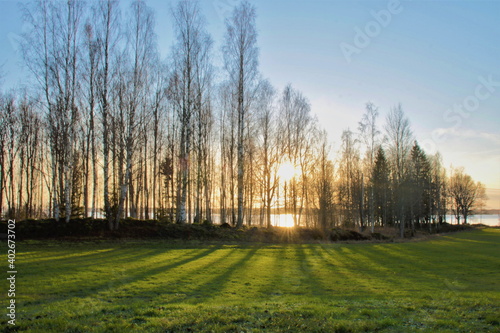 Golden hour in Sweden