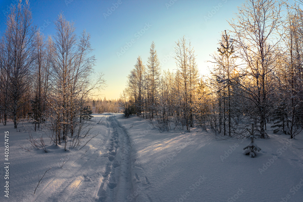 Winter landscape, winter frosty evening forest, shrouded in the rays of the setting sun. Winter landscape, winter frosty evening forest, shrouded in the rays of the setting sun.