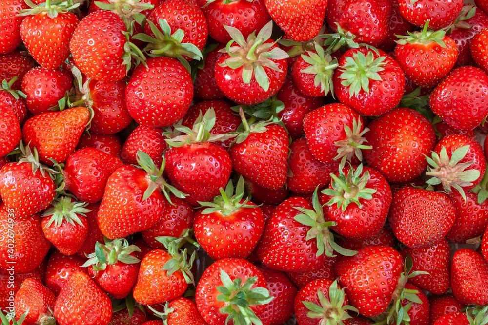 Erdbeeren_1 Erdbeeren_1