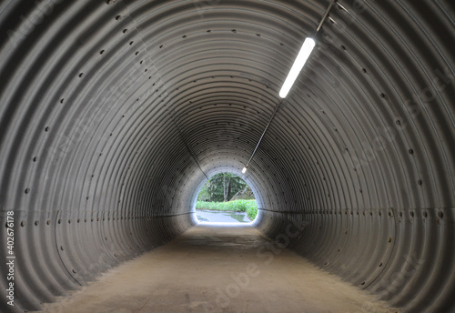 circular tunnel leads to the forest