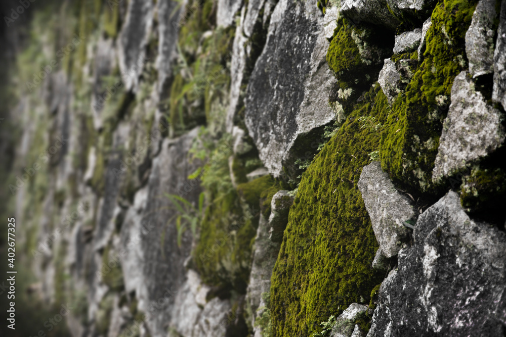 texture of rocks and moss, stone