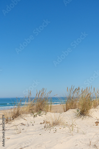 BISCARROSSE (Landes, France) photo