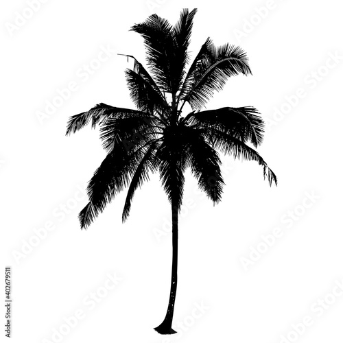 Silhouette of coconut tree on white background  palm tree illustration  vector illustration