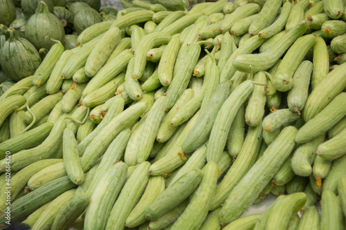 A pile of fresh Armenian cucumber (Cucumis melo var. flexuosus) for sale in the Mahane Yehuda market, Jerusalem, Israel photo