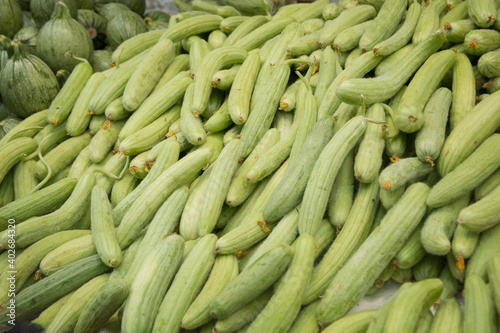 A pile of fresh Armenian cucumber (Cucumis melo var. flexuosus) for sale in the Mahane Yehuda market, Jerusalem, Israel