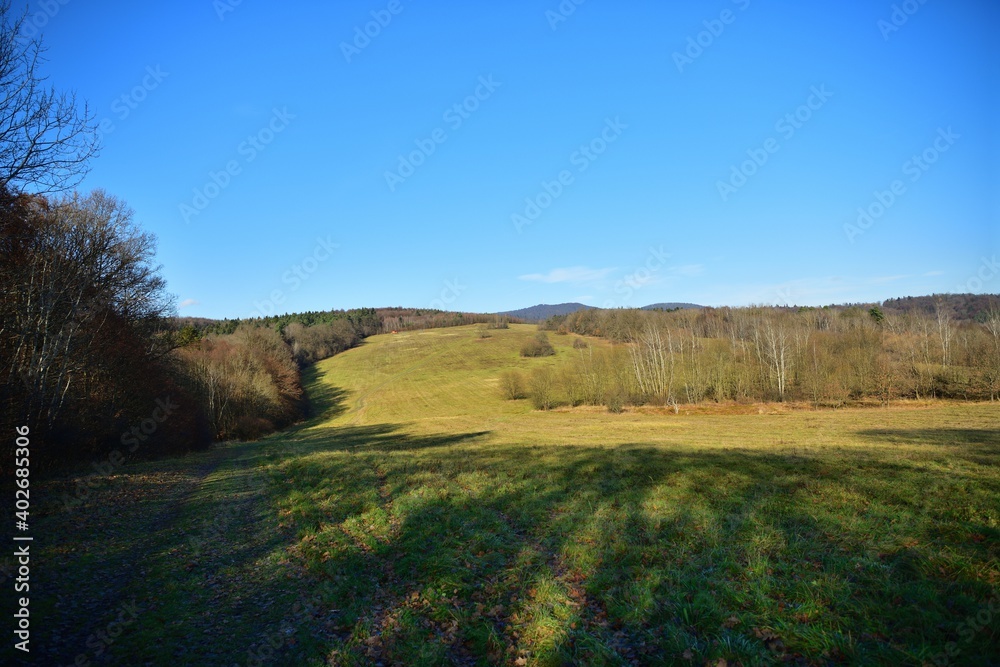 Panorama of white blue sky over forest greenery in sunny autumn