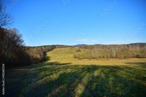 Panorama of white blue sky over forest greenery in sunny autumn