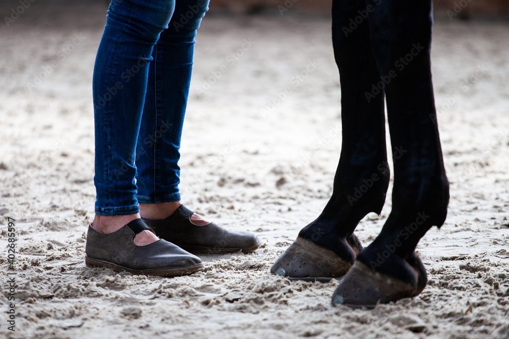 woman and horse standing foot to hoof woman and horse standing foot to hoof