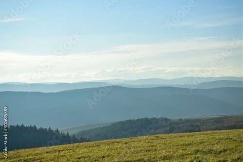 View of the landscape with a large meadow and blue sky during a sunny autumn