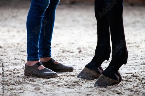 woman and horse standing foot to hoof