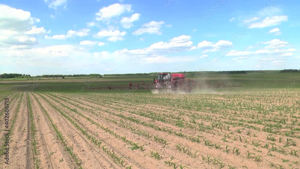 spraying the corn field. Application of plant protection products spraying the corn field. Application of plant protection products