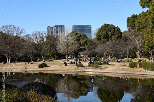 people relaxing in a city park