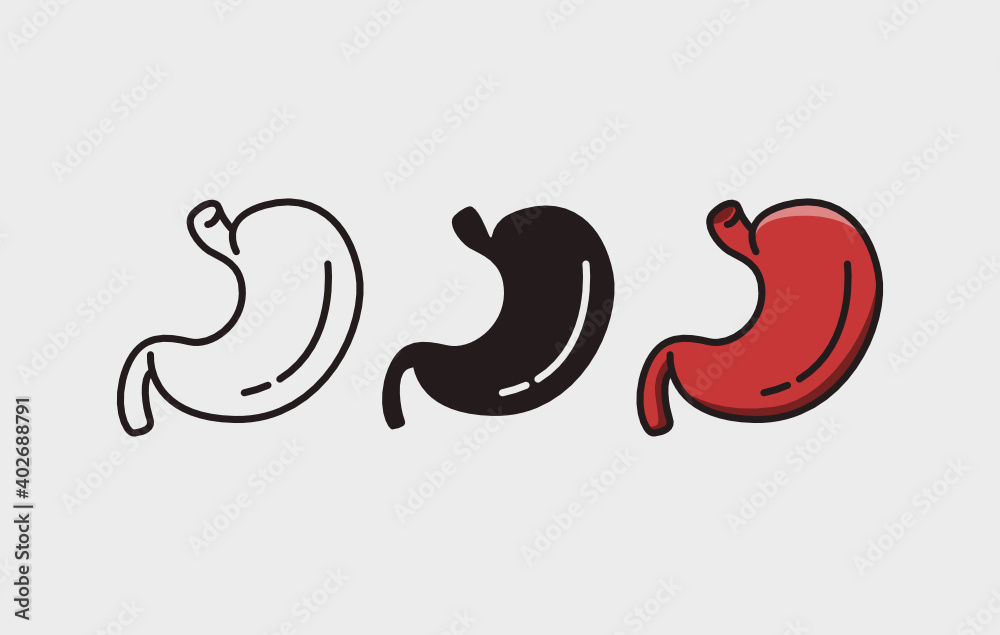 stomach modern vector art for icon, symbol, clip art stomach modern vector art for icon, symbol, clip art