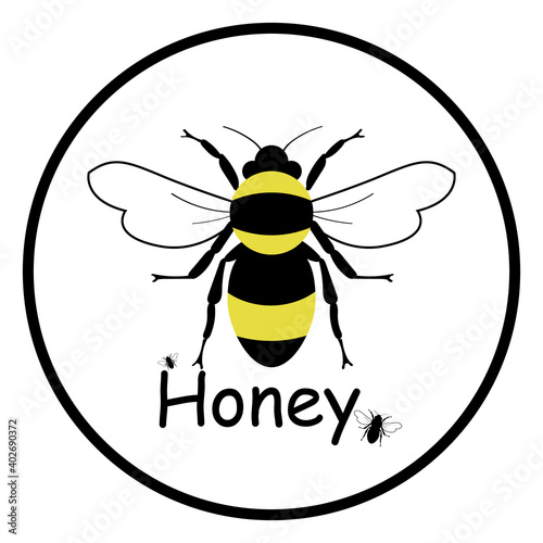 Bee logo. Honey icon. Simple bee on a white background, logo. Vector illustration
