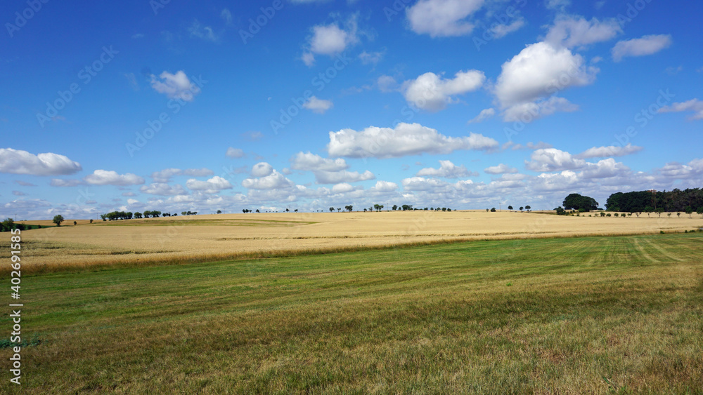 Weite in der Feldmark, Blick über Feld und Wiese im Sommer unter strahlend blauem Himmel mit ein paar Schäfchen-Wolken, Panorama im Sommer - fields with clouds in summer