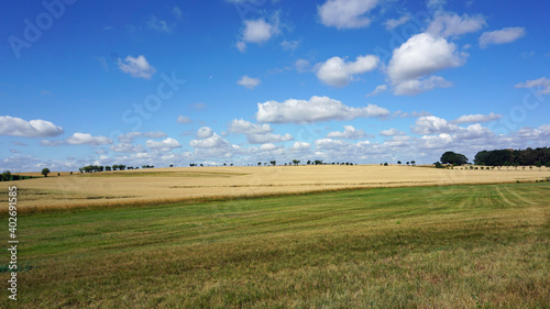 Weite in der Feldmark, Blick über Feld und Wiese im Sommer unter strahlend blauem Himmel mit ein paar Schäfchen-Wolken, Panorama im Sommer - fields with clouds in summer