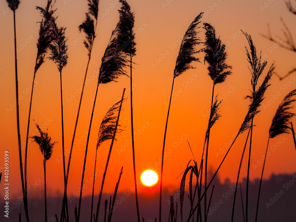 Crepuscule Crepuscule