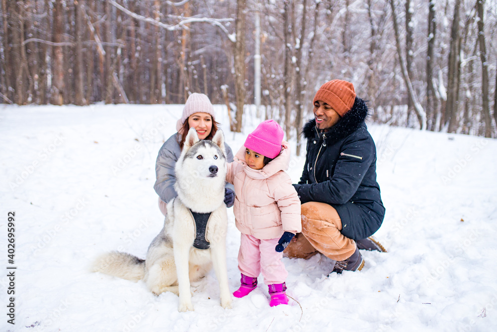 afro man with his caucasian wife having fun with a beautiful daughter playing husky in snowy park afro man with his caucasian wife having fun with a beautiful daughter playing husky in snowy park