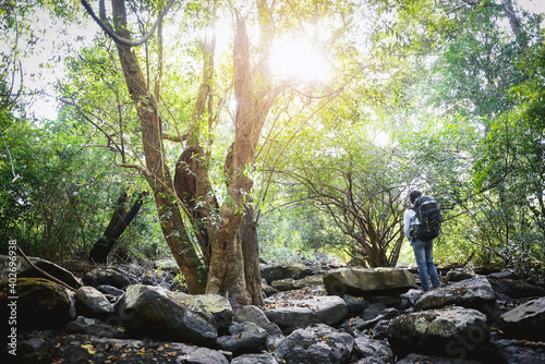 Traveler Man with a backpack in the Forest,