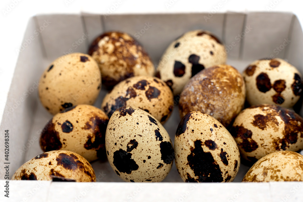 Quail eggs are in an organic box. Eggs close up Quail eggs are in an organic box. Eggs close up