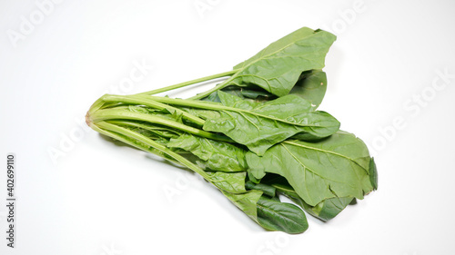 新鮮なほうれん草