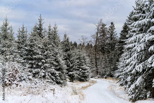 Winterlandschaft im Thüringer Wald
