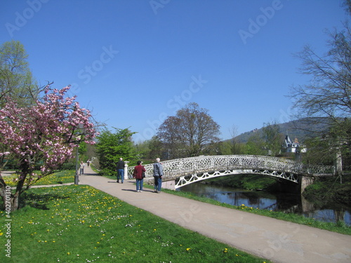 Lichtentaler Allee mit Oosbach und weißer Brücke in Baden-Baden photo