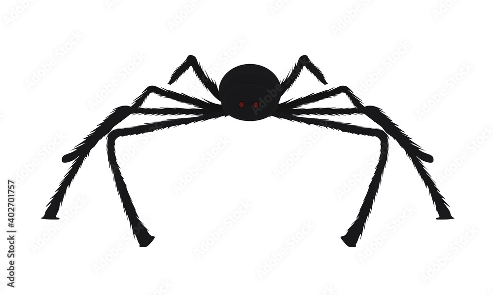 Obraz premium Black spider isolated. vector illustration