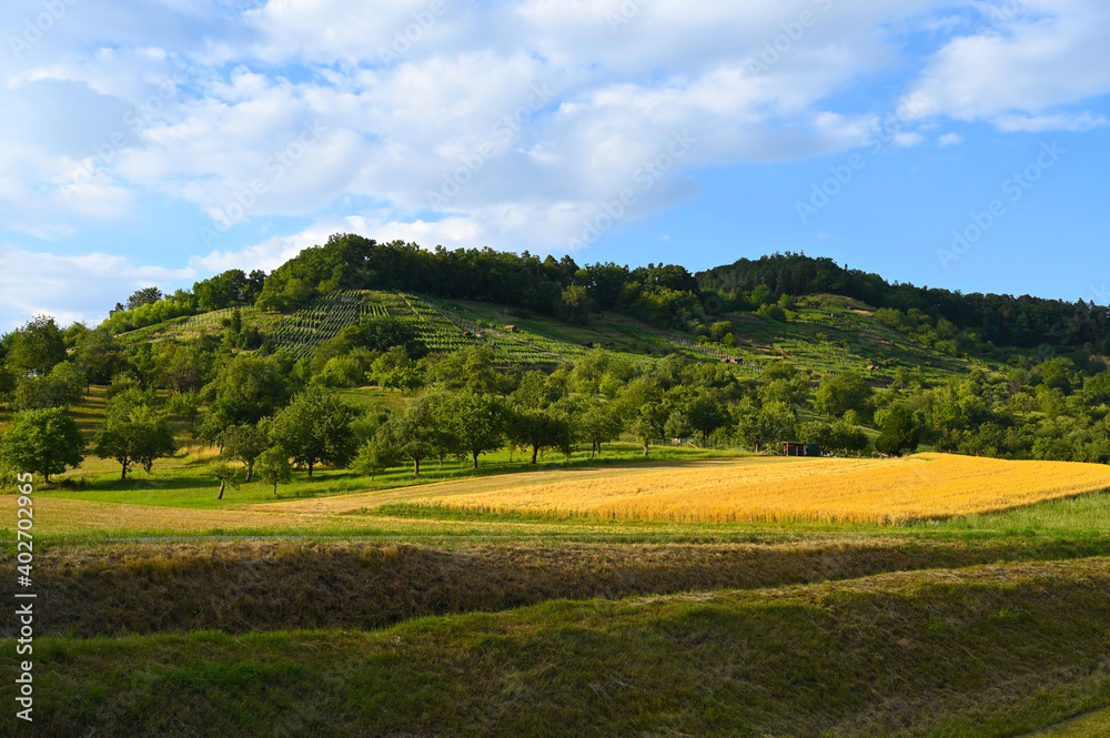 Fresh green meadows and corn fields with a forested hill in the background.