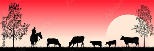 Cowboy and grazing cows in the meadow. Grazing cows on the grass. A man on a horse. Trees. Sunset. Rural landscape