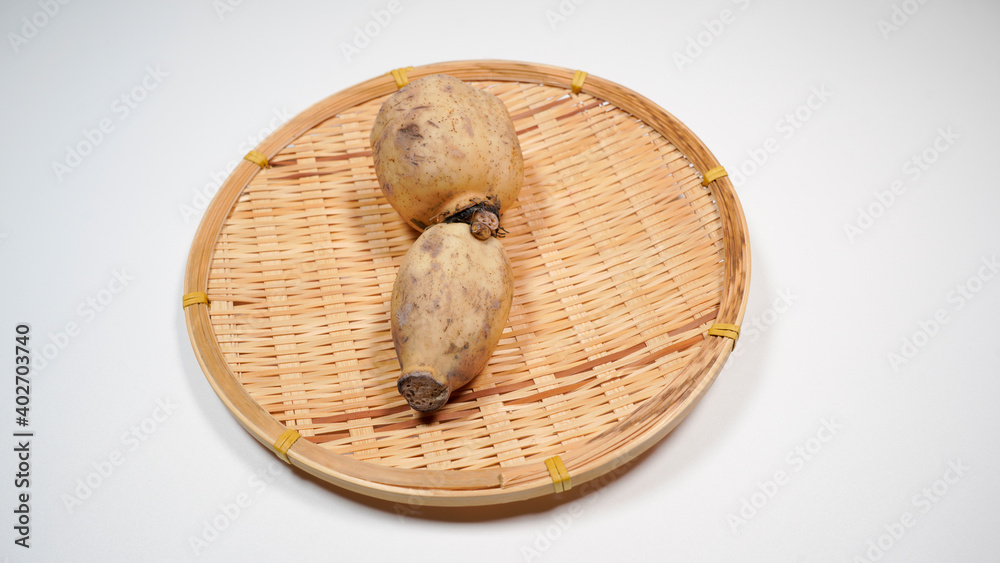 新鮮なザルにのった蓮根 新鮮なザルにのった蓮根