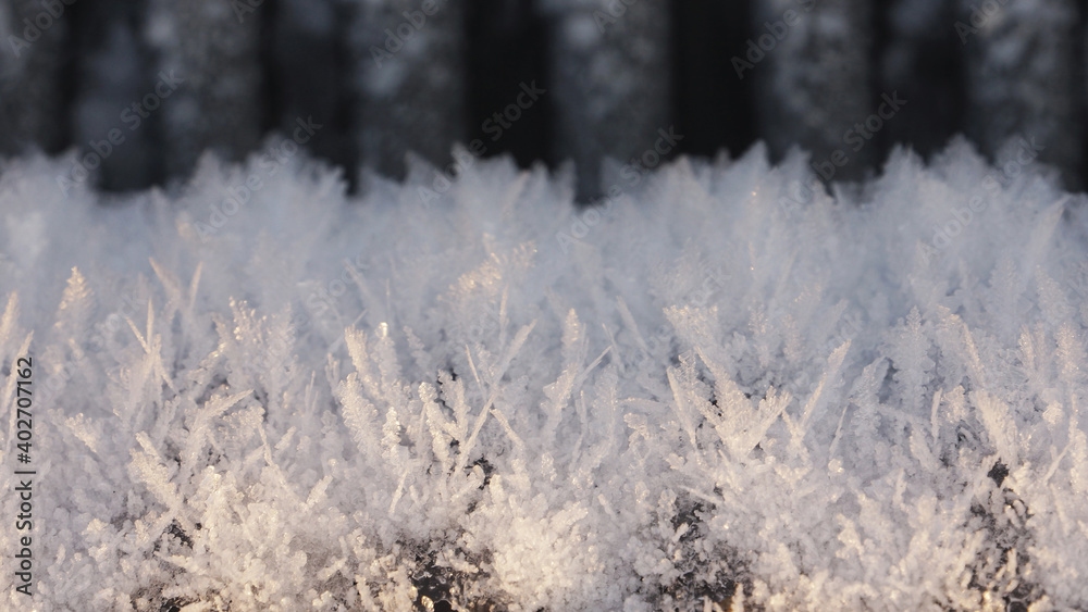frost on the plant, macro winter frost on the plant, macro winter